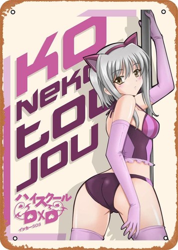 Photography Anime - Anime Metal Poster High School figure