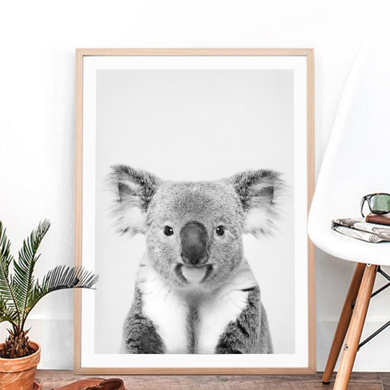Koala Print Black and White Pi - Photography Zoo บทวิจารณ์และราคา