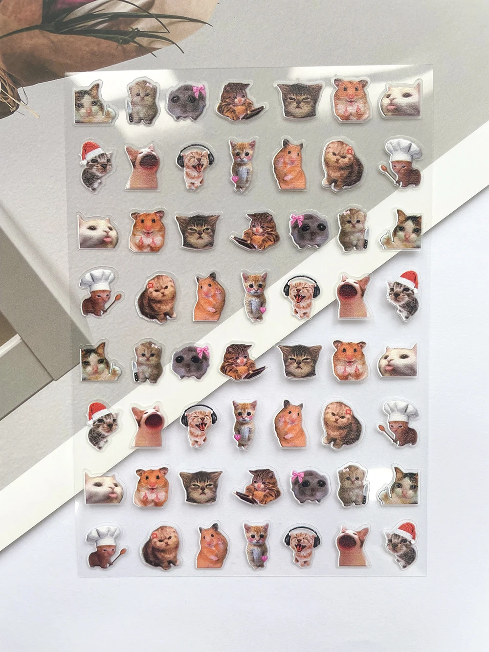 Mini Pvc Funny Cat Poster Good - Photography Anime บทวิจารณ์และราคา