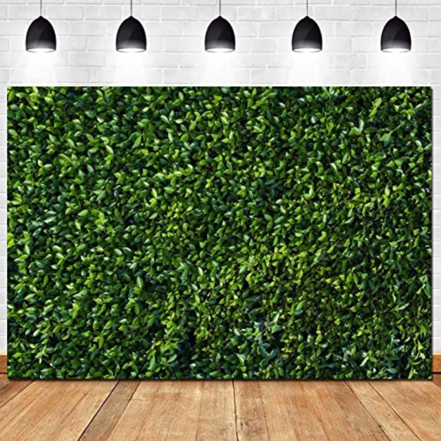 Nature Spring Green Leaves The - Photography Zoo บทวิจารณ์และราคา