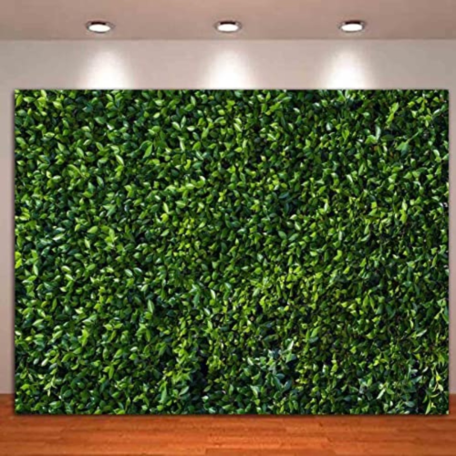 Nature Spring Green Leaves The - Photography Zoo บทวิจารณ์และราคา