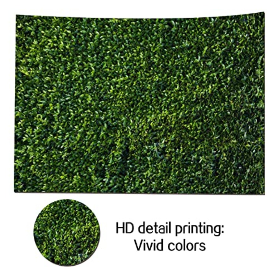 Nature Spring Green Leaves The - Photography Zoo บทวิจารณ์และราคา